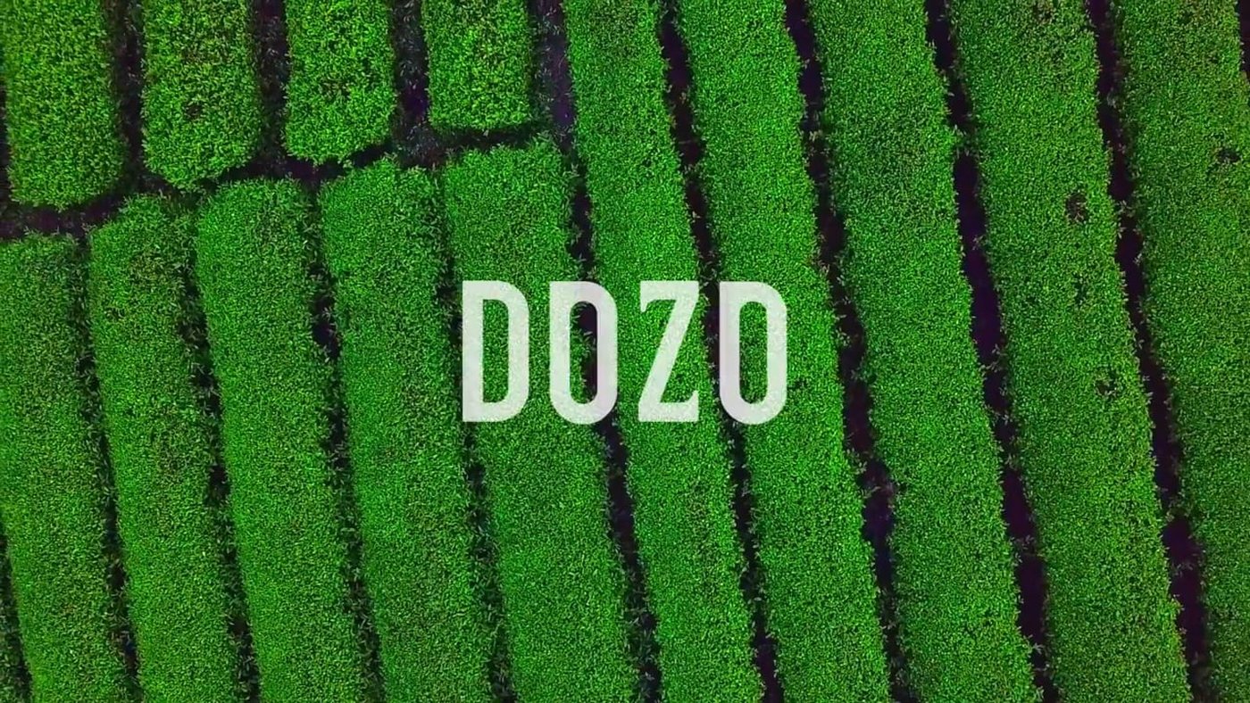 Dozo tea matcha
